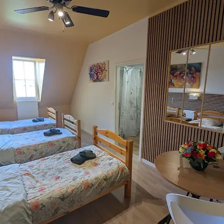 Domain La Rosiere Jusqu'a 50 Personnes Piscine Tennis Et Basket Diemeringen