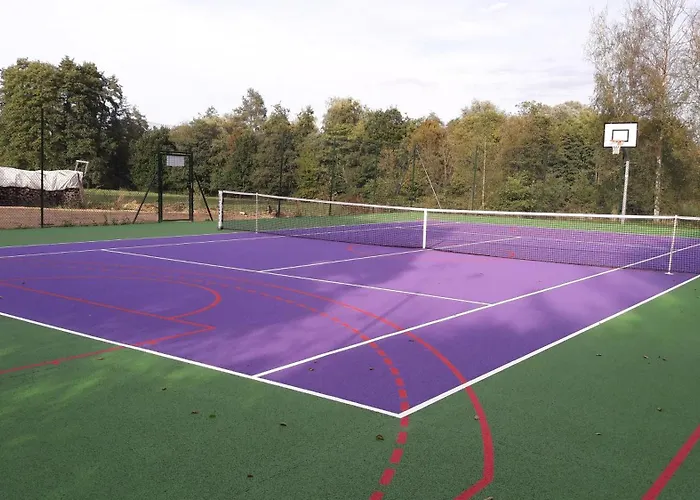 Villa Domain La Rosiere Jusqu'a 50 Personnes Piscine Tennis Et Basket