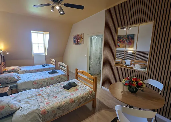 Domain La Rosiere Jusqu'a 50 Personnes Piscine Tennis Et Basket Diemeringen